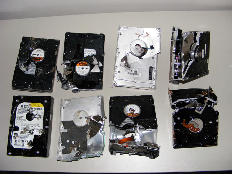 Datamining Bříství 2007