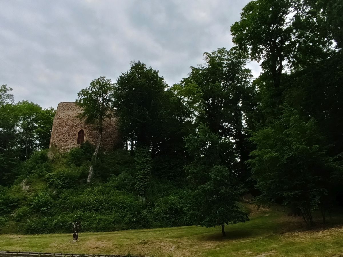 Březina