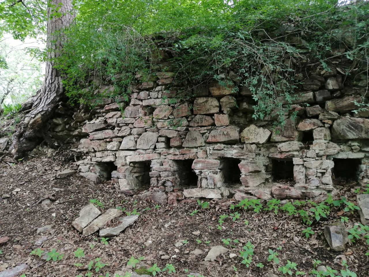 Zřícenina Sedlecký hrad