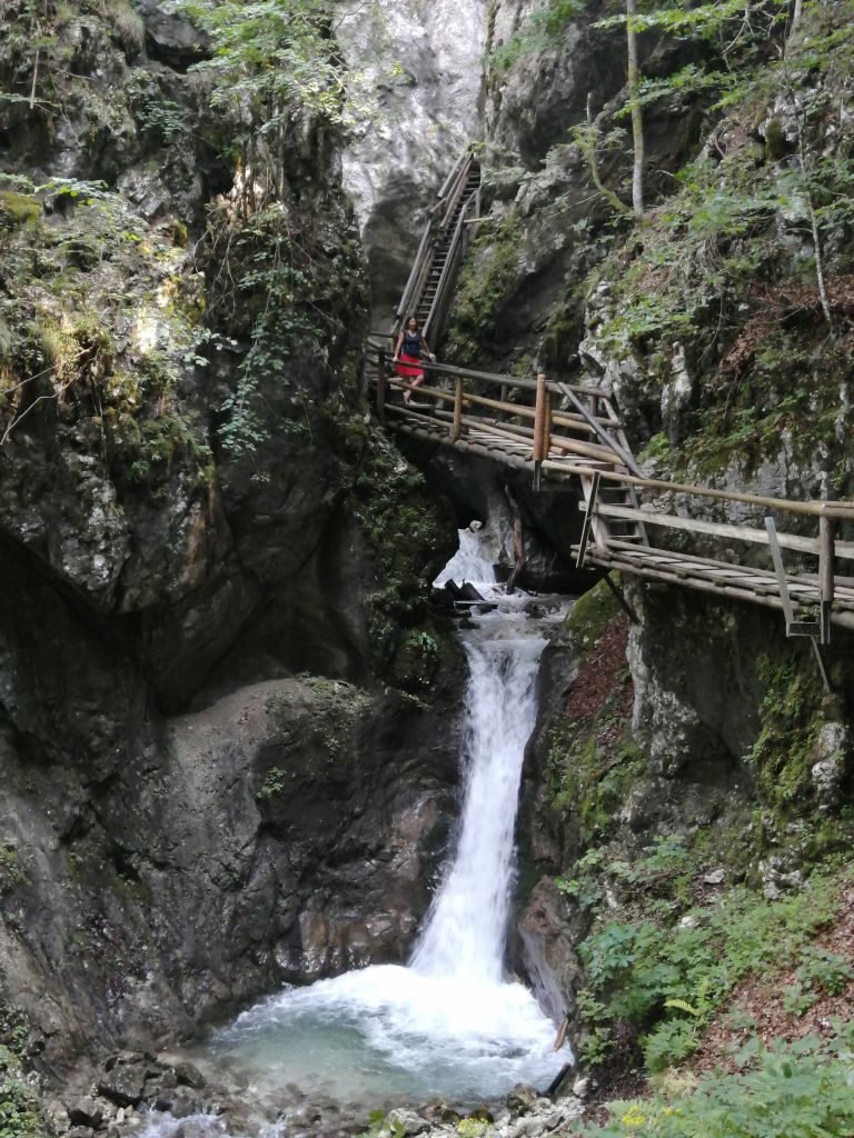 Soutěska doktora Vogelgesanga