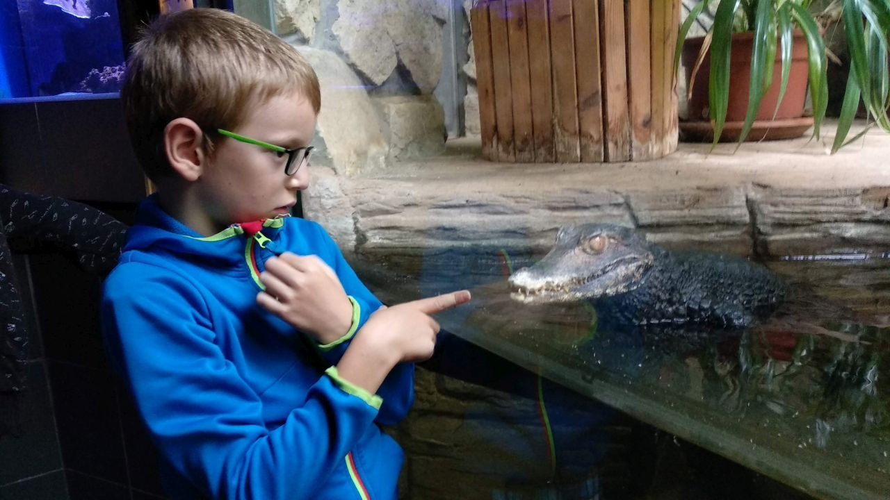 Zoo Hodonín
