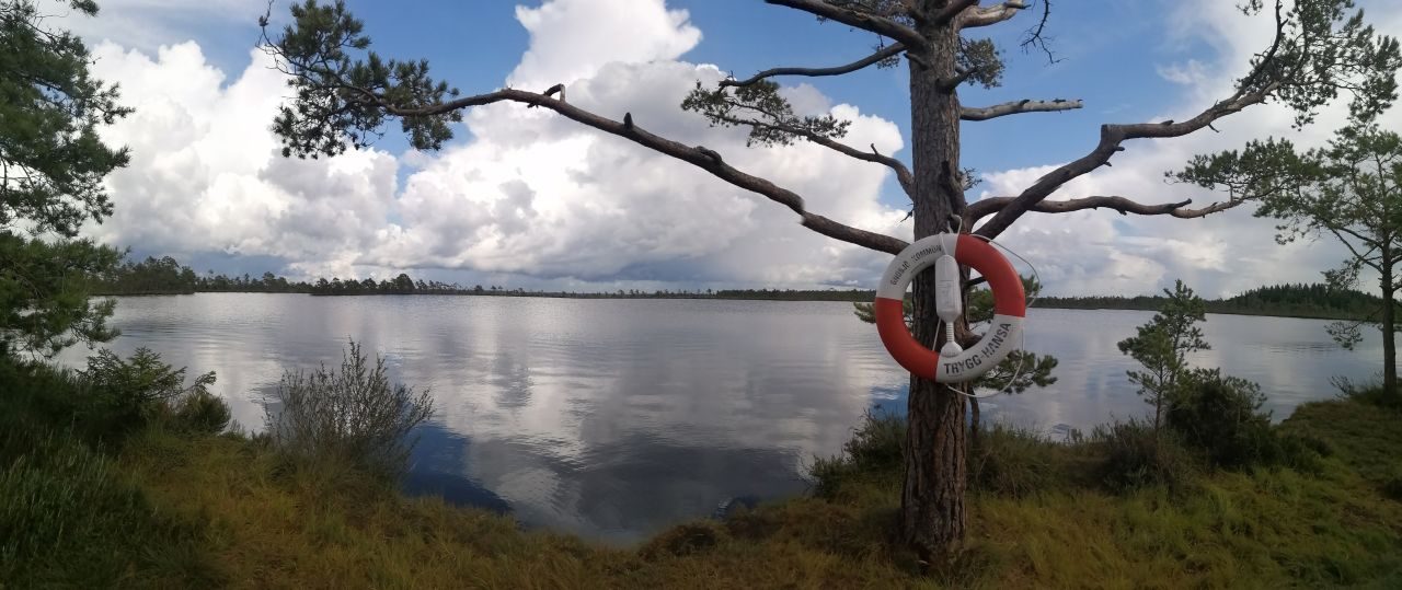 Store Mosse National Park