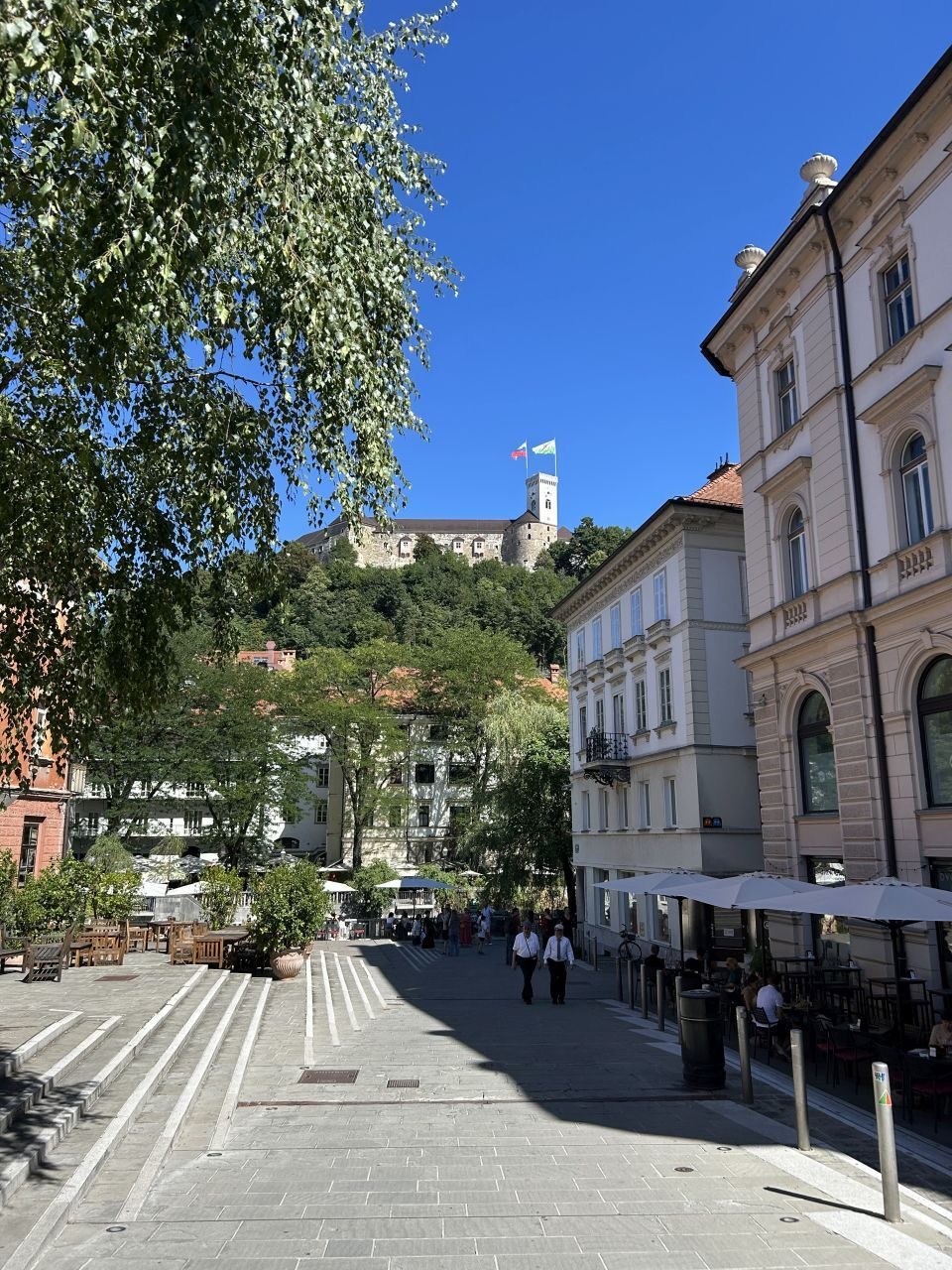 Ljubljanski grad